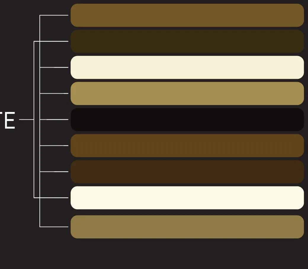 Colour palette used in the Rolex illustration