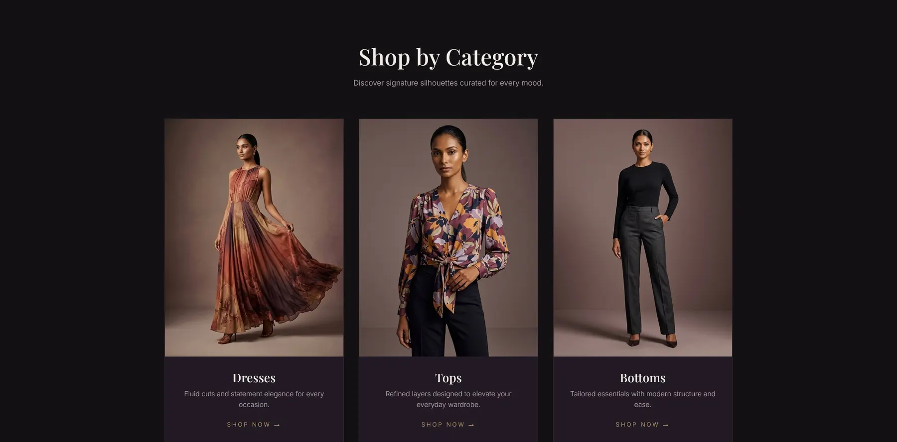Seylune homepage story section